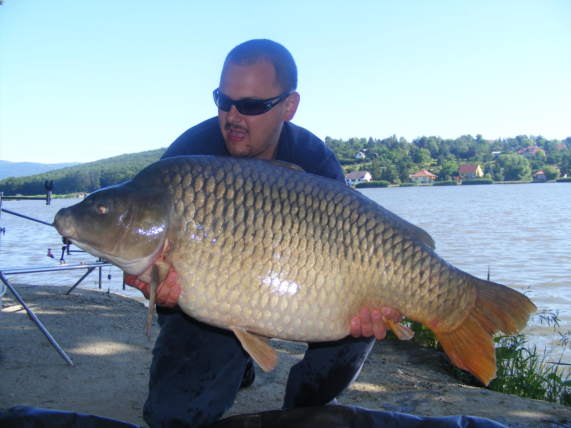 Harsanyi 2013 - dscf6323.JPG